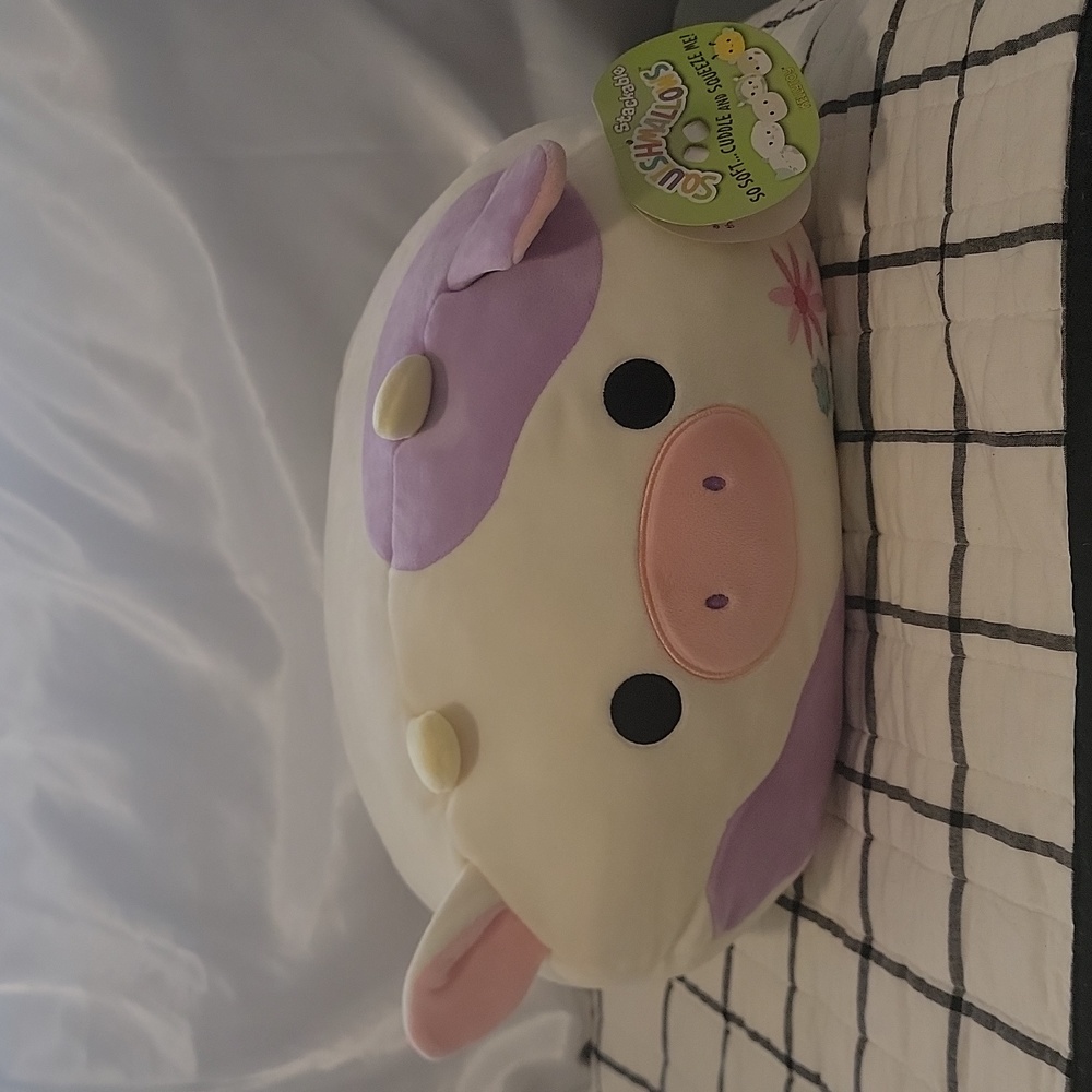 Rare claire the cow squishmallow